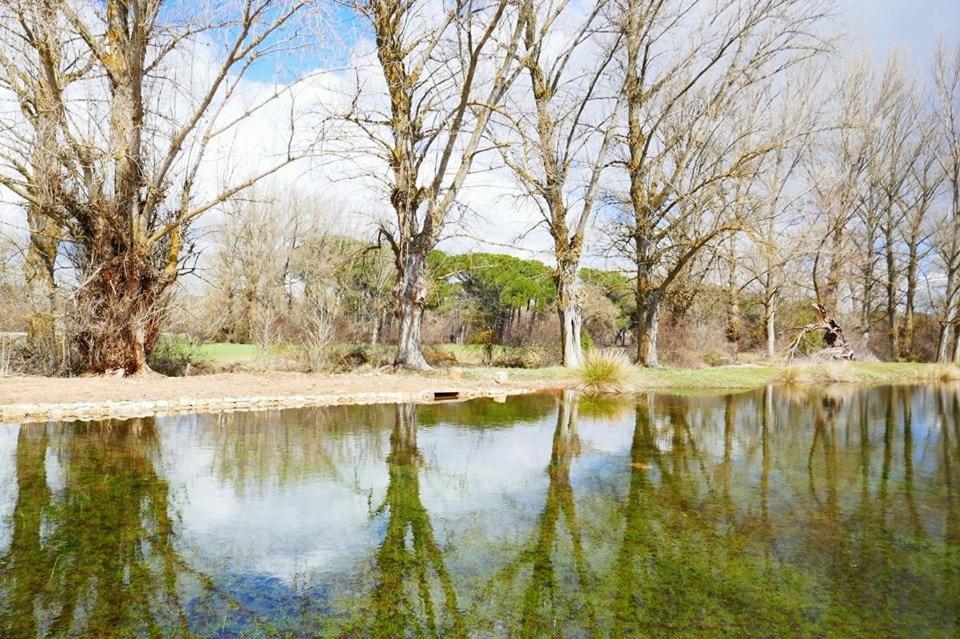 Séjour à la campagne El Perfume Del Almendro